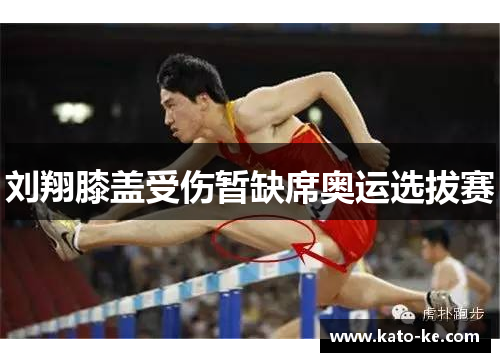 刘翔膝盖受伤暂缺席奥运选拔赛